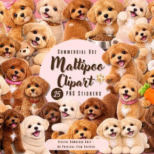 Maltipoo Puppy Clipart PNG Bundle, 25 autocollants PNG pour chien (usage commercial)