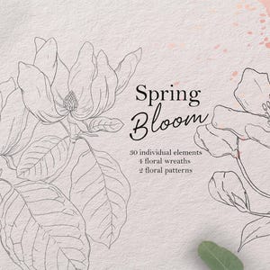 Spring flowers – Botanical Floral PNG Clipart | Hand Drawn Flower Illustration, Beautiful Floral PNG EPS Vector Clipart for Crafting