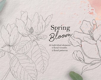 Botanical Floral Clipart: Hand-Drawn Spring Flower PNG EPS (Digital Download)