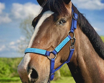 Cabresto personalizado para cavalos com nome bordado | Cabresto ajustável de nylon para cavalos, pôneis e potros | Várias cores