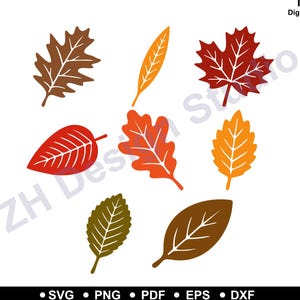 Könnte beinhalten: Eine Sammlung stilisierter Herbstblätter in verschiedenen Farben, darunter Braun, Rot, Orange und Gelb, auf weißem Hintergrund. Das Bild enthält den Text "ZH Design Studio" und "Sofortiger digitaler Download".