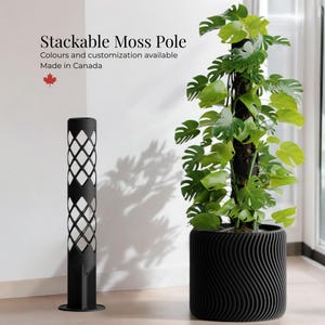Decorative Moss Pole Kit – Stackable Plant Support for Climbing Plants | Modular & Expandable Trellis