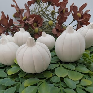 Ready to paint bisque-ware Pumpkin Set