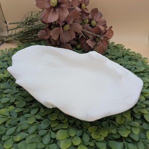 May include: A white, organically shaped ceramic dish sits on a bed of green foliage, with a backdrop of brown flowers. The dish has a smooth, matte finish and a shallow, open design, suitable for serving or display.