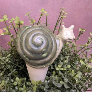 May include: A ceramic snail-shaped plant waterer with a spiral shell in shades of green and a cream-colored body. The snail is set in a bed of green plants, with a pink background.