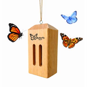 Puede incluir: Una casa de mariposas de madera con el texto "Butterfly HUT" y dos aberturas verticales. La casa est&aacute; rodeada de tres mariposas con alas naranjas, negras y azules. Se adjunta un lazo de cuerda para colgar.