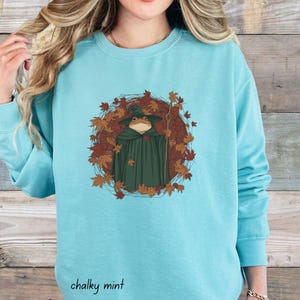 Frog Wizard Sweatshirt: Cottagecore Autumn Pullover