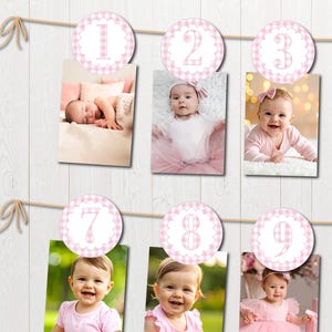 Pink Gingham Monthly Banner, Girl 1st Birthday Party, 12 Month Garland for Photos for One Year Old Celebration, Numbers for Milestone