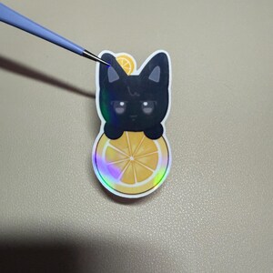 Op de afbeelding: Een sticker met een zwarte kat met een citroen schijf ontwerp. De kat kijkt over een gele en oranje citroen schijf met een holografische rand. Een kleine citroen schijf zit op het hoofd van de kat.