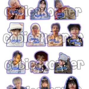 Seventeen Sticker Sheet