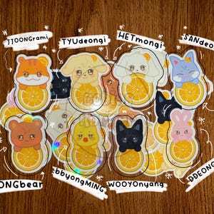 Op de afbeelding: Een verzameling cartoon dierenstickers, elk met een uniek ontwerp en naam. De stickers tonen een tijger, hond, konijn, beer, eend, kat en konijn, elk met een plakje sinaasappel. De namen zijn in witte tekst geschreven.