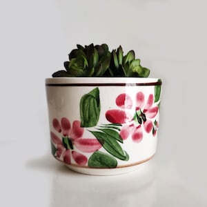 May include: A white ceramic plant pot with a floral design in pink and green, containing a green succulent. The pot has a brown rim and base, and the flowers are hand-painted.