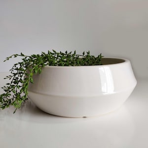 May include: A white ceramic bowl with a faceted, geometric silhouette. The bowl features a wide, angled rim and a smooth, glossy finish. A trailing green plant with small, bead-like leaves spills over the side of the container.