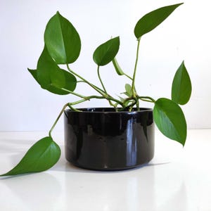 Vaso da fiori vintage Haeger 8607 in ceramica nera.
