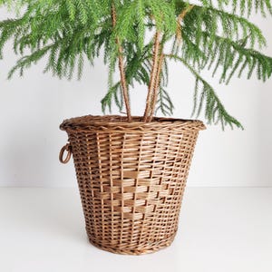 Puede incluir: Una cesta de mimbre marrón con una planta. La cesta está tejida y tiene una forma acampanada con una parte superior redondeada y dos asas pequeñas. La planta tiene hojas verdes en forma de aguja y varios tallos marrones.