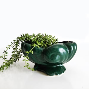 May include: A dark green ceramic seashell-shaped planter with a glossy finish. The planter is filled with trailing green plants. The planter sits on a white surface.