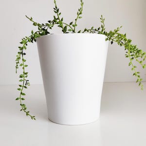 May include: A white, tapered ceramic planter with a trailing green plant. The plant has small, round leaves and delicate stems that cascade over the sides of the pot. The planter is on a white surface.