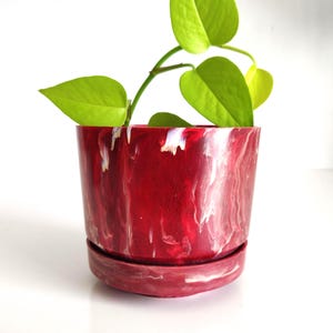 Puede incluir: Una maceta roja y blanca veteada con un platillo a juego. La maceta contiene una planta verde con hojas en forma de corazón. La maceta es cilíndrica y se asienta sobre una superficie blanca.