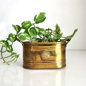 Puede incluir: Un macetero de latón con un diseño de concha, con una planta verde y blanca variegada.