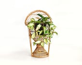 16 inch Wicker Peacock Plant Chair