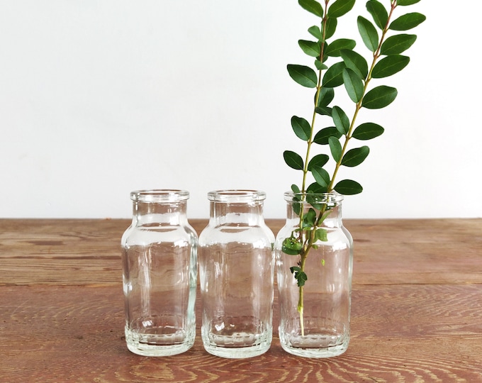 Vintage Glass Bottles for Propagation Set of 3 Etsy