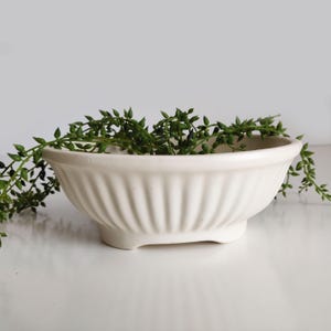 Op de afbeelding: Crèmekleurige keramische kom met een gegroefd buitendesign. De kom is gevuld met groene, bladrijke wijnstokken. De kom heeft een lage, afgeronde vorm en staat op een kleine voet.