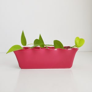 以下が含まれることがあります： マゼンタ色の長方形のセラミックプランター。縁は波型で、緑の葉の植物が入っています。プランターは白い背景に置かれ、鮮やかな色と植物の新鮮な葉が際立っています。