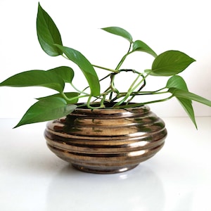 May include: A metallic bronze-toned planter with a rounded, ribbed exterior design. The bowl-shaped vessel features horizontal ridges and a wide opening, containing a green pothos plant with multiple trailing stems and heart-shaped leaves.