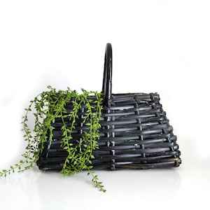 Puede incluir: Una cesta rectangular negra de mimbre con asa. La cesta está llena de vides verdes y frondosas. La cesta está hecha de material tejido y tiene un acabado oscuro. El asa es arqueada y está unida a la parte superior de la cesta.