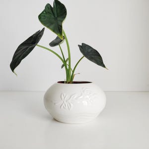 May include: A white ceramic vase with a floral relief design holds a green plant with large, dark green leaves. The vase has a rounded shape and a dark red interior, creating a striking contrast.