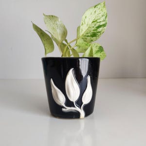 Pode incluir: Um pequeno vaso de plantas de cerâmica preta com acabamento brilhante. O vaso apresenta um design de folhas brancas em relevo. O vaso contém uma planta verde com folhas variegadas.