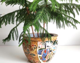 Large mid century Chinese Jardiniere Fish Bowl Planter, 12 inch