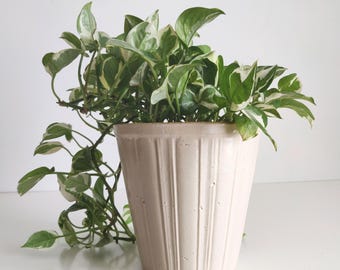 Vintage Robinson Ransbottom art pottery planter, crown crock