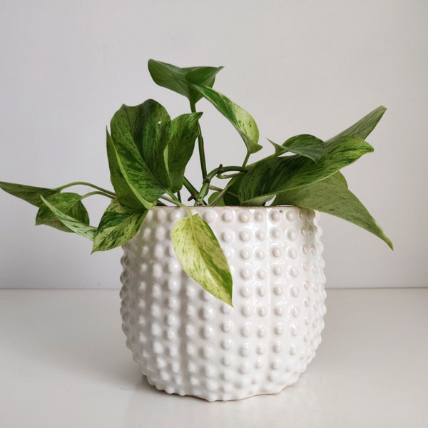 Textured White Ceramic Planter / cachepot