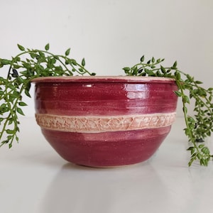 May include: A deep red ceramic planter with a white band and a textured design. The planter is filled with green plants.