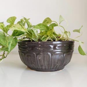 Può includere: Un vaso in ceramica grigio scuro con un design testurizzato, che presenta una pianta verde con foglie variegate di bianco.