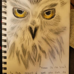 Single Charcoal Drawing-Limited to one picture available for each product