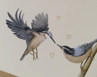 Nuthatches greeting card