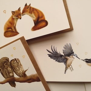 5x Assorted Woodland Animals Fox Nuthatch Owl Greeting Cards Set