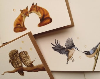 5x Assorted Woodland Animals Fox Nuthatch Owl Greeting Cards Set