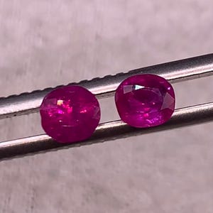 Op de afbeelding: Twee ovaal geslepen, levendig magenta-rode robijnen vastgehouden door een zilverkleurige metalen pincet. De edelstenen hebben gefacetteerde oppervlakken die licht reflecteren, wat een diepe, verzadigde kleur en een gepolijst, doorschijnend uiterlijk laat zien.