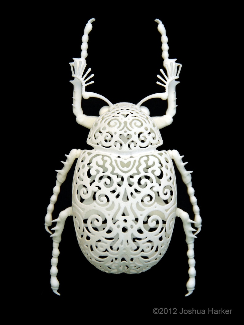 Käfer Skulptur Coleoptera Filigre klein Bild 1