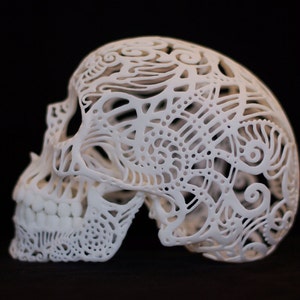Skull Sculpture Crania Anatomica Filigre large image 4