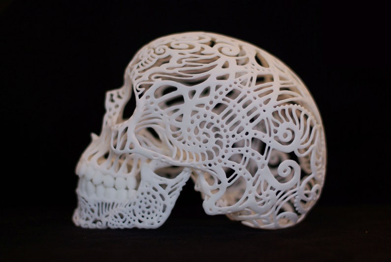 Skull Sculpture Crania Anatomica Filigre large image 4