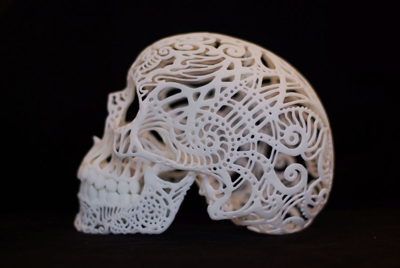 Skull Sculpture Crania Anatomica Filigre small image 4