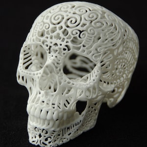 Skull Sculpture Crania Anatomica Filigre large image 2