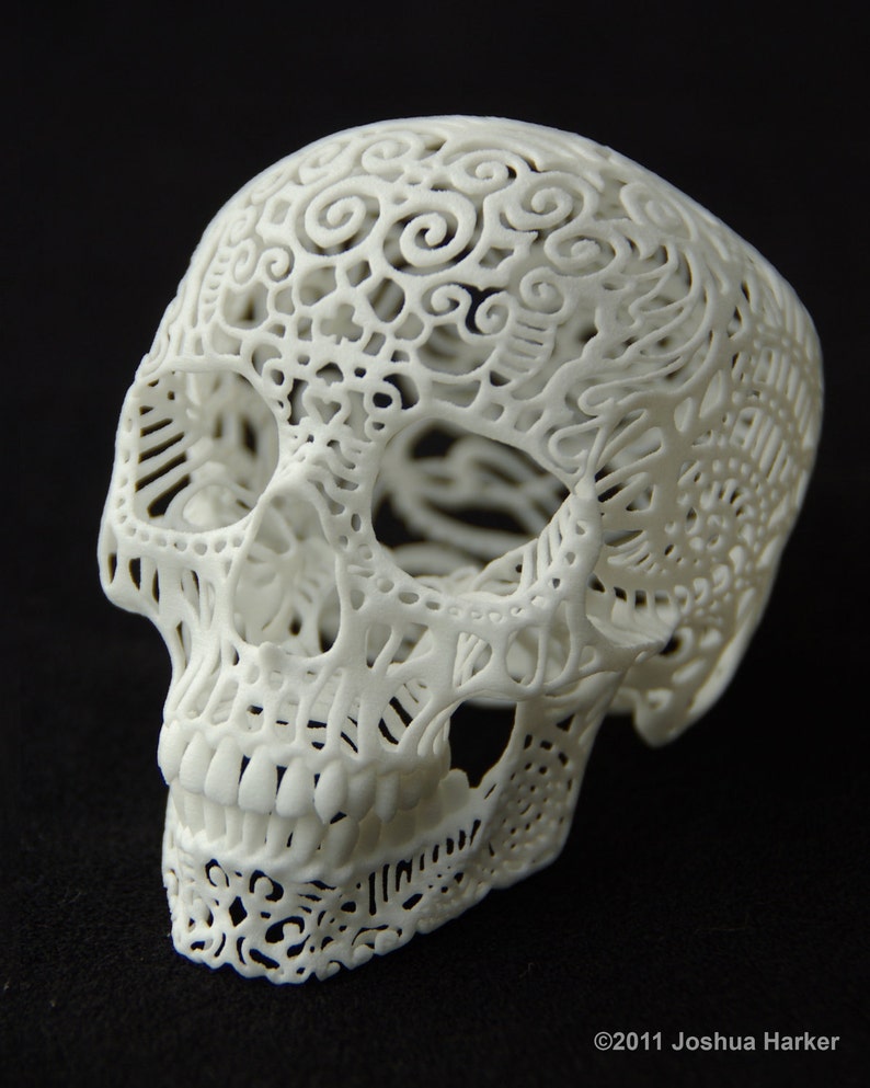 Skull Sculpture Crania Anatomica Filigre large image 2