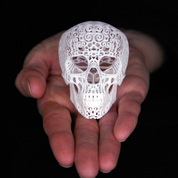 Skull Sculpture Crania Anatomica Filigre (mini)