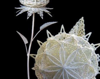 Fiore Unidicesimo - 3d Printed Filigree Flower by Joshua Harker