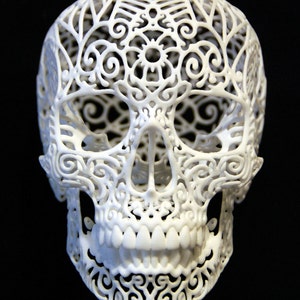 Skull Sculpture Crania Revolutis small image 1